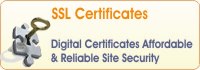 ITPIXEL Web & Software Development, Domain, Web Hosting, Offshore Development, Email Hosting, SSL Certificates, E-Commerce, Networking & Free Trial Hosting